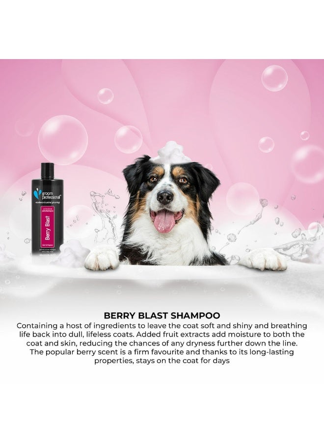 Groom Professional Berry Blast Shampoo 450ml – Fruity Shine & Soft Coat Care - Image 4